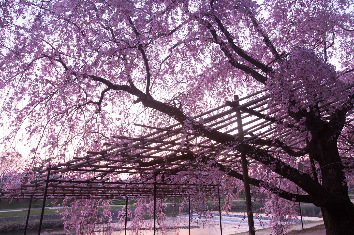 風景写真カメラマン京都