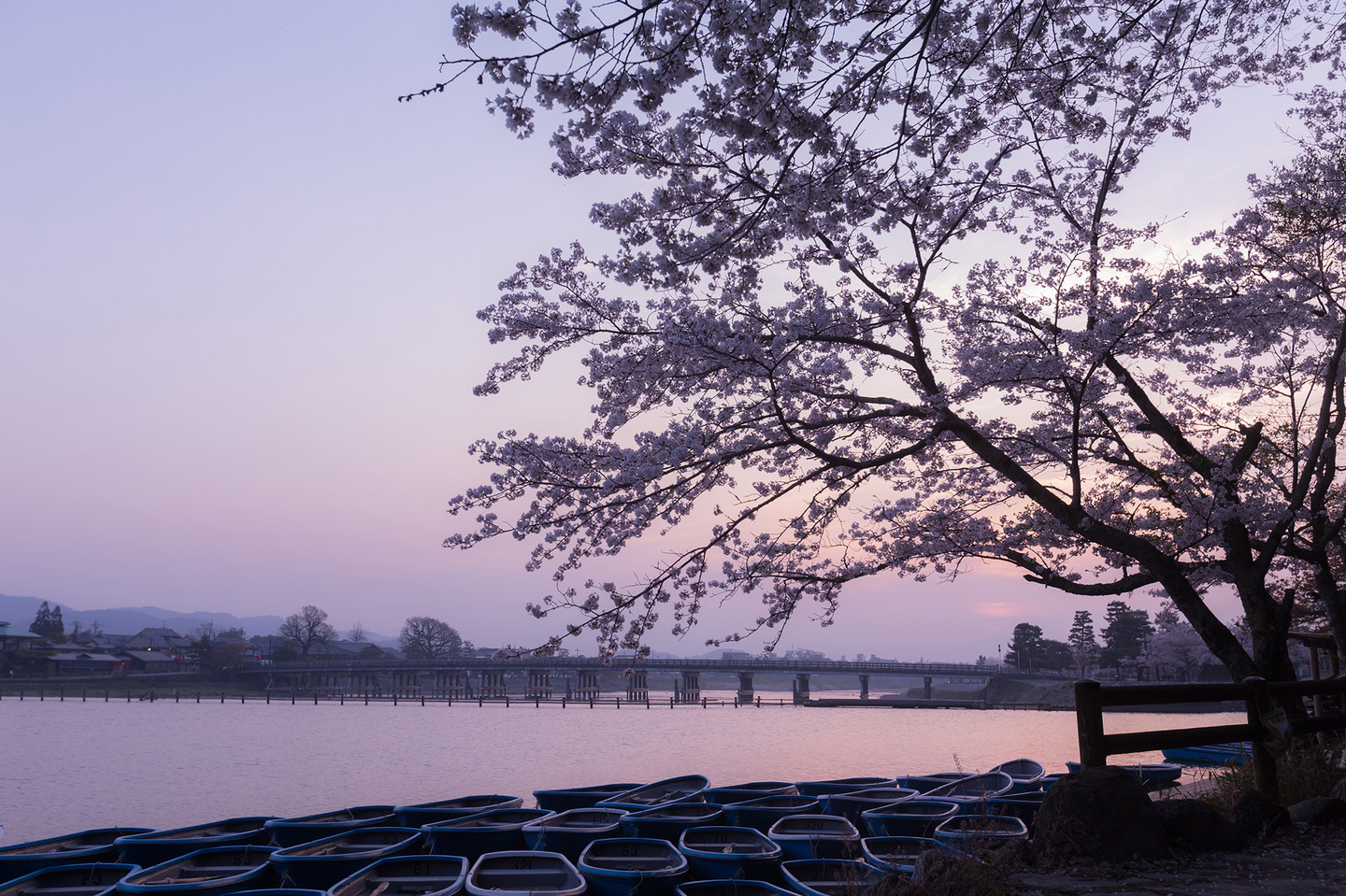 風景写真カメラマン京都