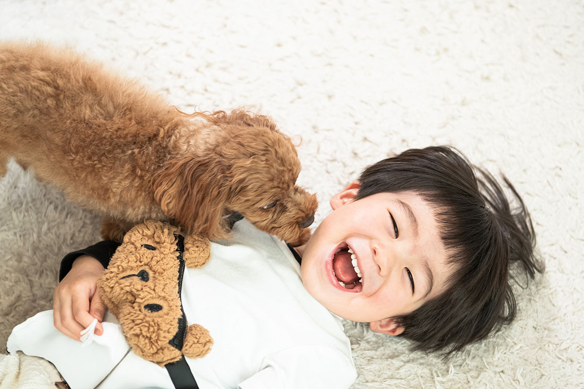 子供撮影カメラマン